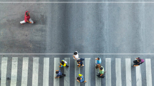 crosswalk pedestrians